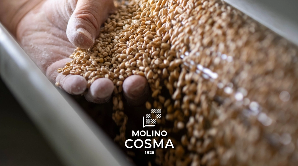 Molino Cosma